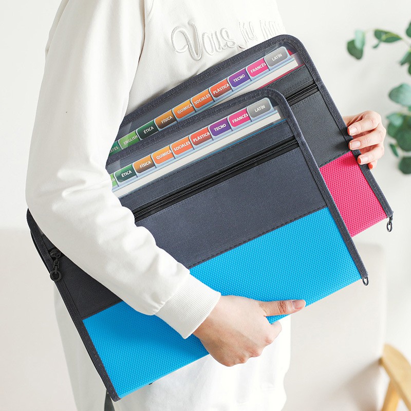 Organizzatore di file per fisa - Expandable Accordion File Folder 13 Pockets recensione e prezzo