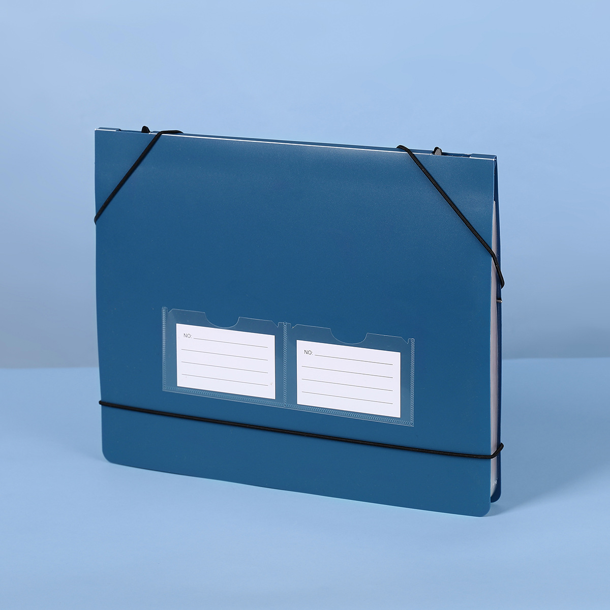 Cartella Portadocumenti a Fisa - Expandable Accordion File Folder 13 Pockets recensione e prezzo