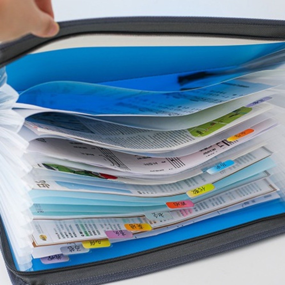 Cartella Portadocumenti Espand - Expandable Accordion File Folder 13 Pockets recensione e prezzo